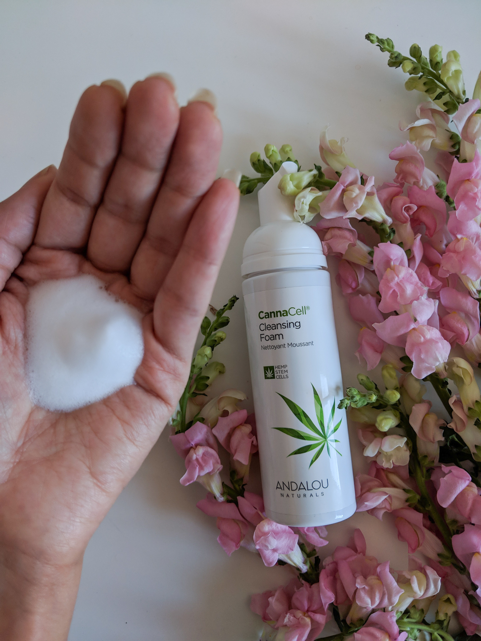 cannacell cleansing foam